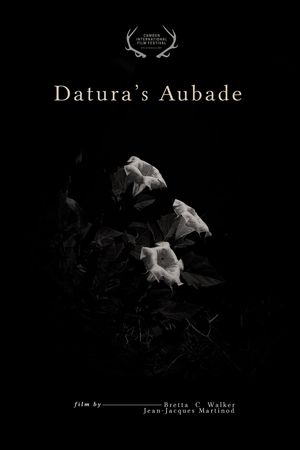 Datura's Aubade's poster