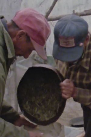 Wild Rice's poster