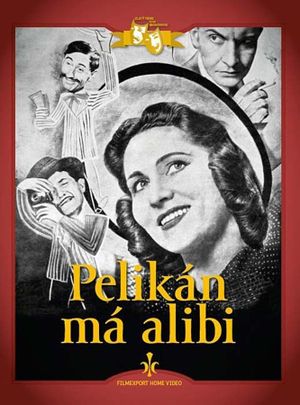 Pelikán má alibi's poster