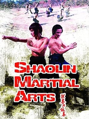 Shaolin Martial Arts's poster