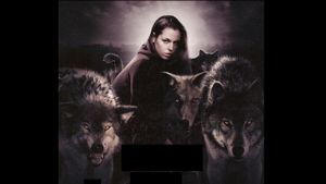 Blood and Chocolate's poster