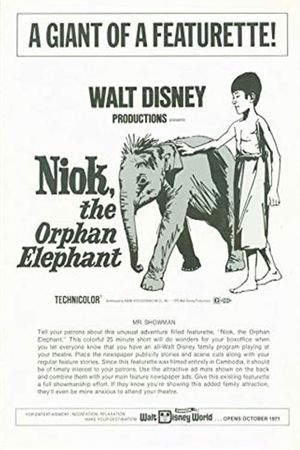 Niok, The Orphan Elephant's poster