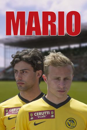 Mario's poster