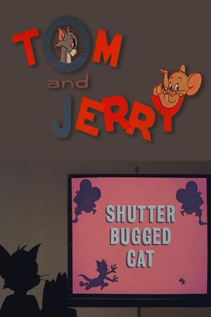 Shutter Bugged Cat's poster