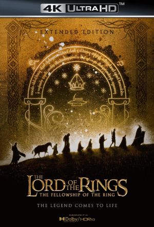 The Lord of the Rings: The Fellowship of the Ring's poster