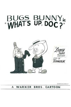 What's Up, Doc ?'s poster