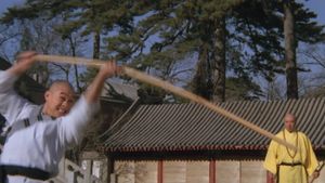 Martial Arts of Shaolin's poster