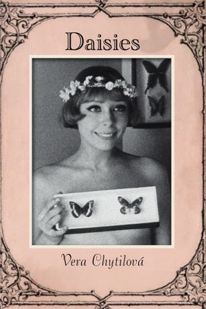 Daisies's poster