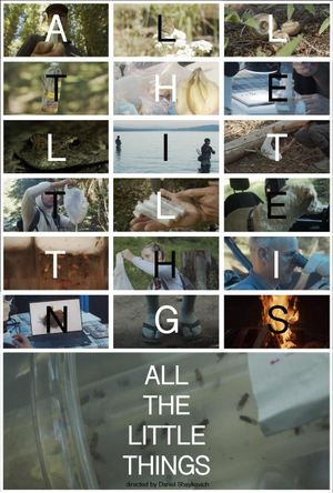 All the Little Things's poster