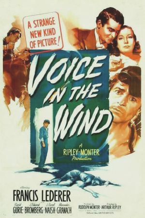 Voice in the Wind's poster