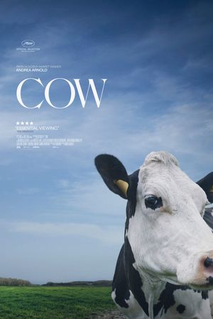 Cow's poster