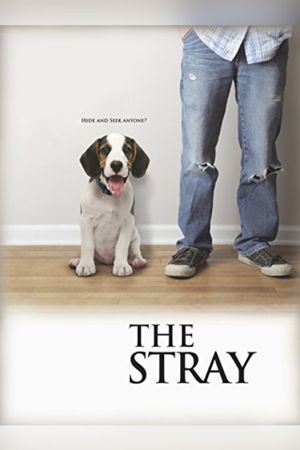 The Stray's poster