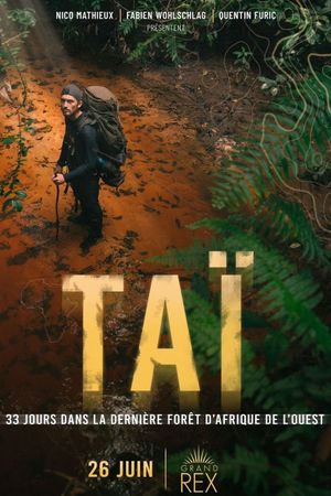 TAÏ: 33 jours dans la dernière forêt d'Afrique de l'Ouest's poster