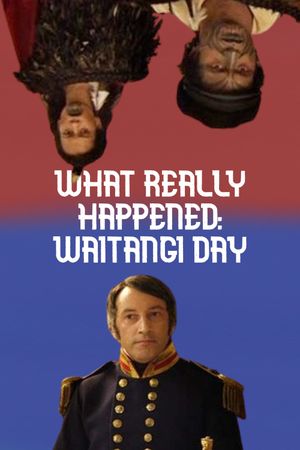 Waitangi - What Really Happened's poster