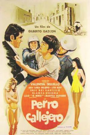 Perro callejero's poster