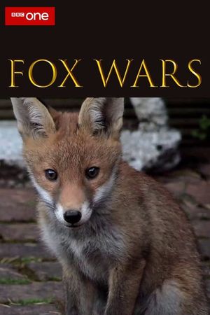 Fox Wars's poster
