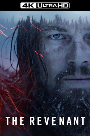 The Revenant's poster