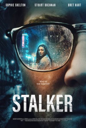 Stalker's poster