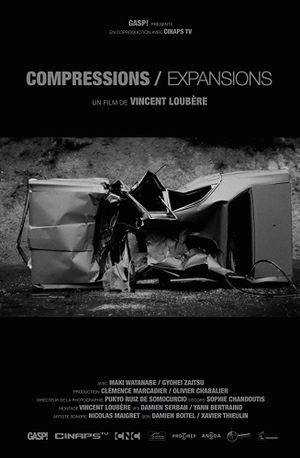 Compressions/Expansions's poster