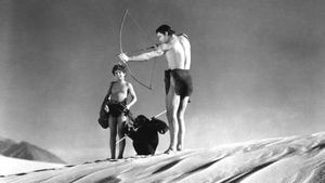 Tarzan's Desert Mystery's poster