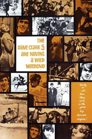 Having a Wild Weekend's poster