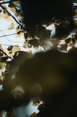 sunspots, burnt into my heart's poster