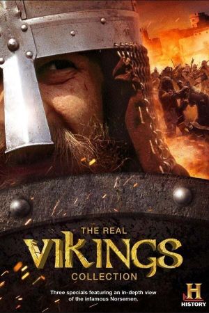 The Real Vikings's poster