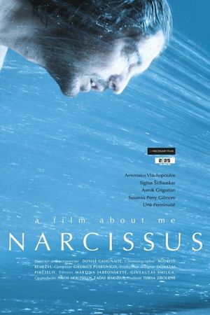 Narcissus's poster