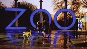 A Zed & Two Noughts's poster