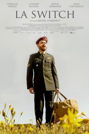 The Switch's poster