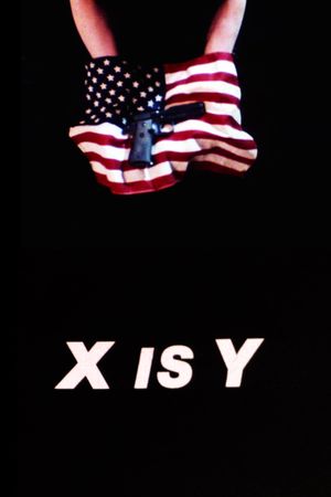 X Is Y's poster