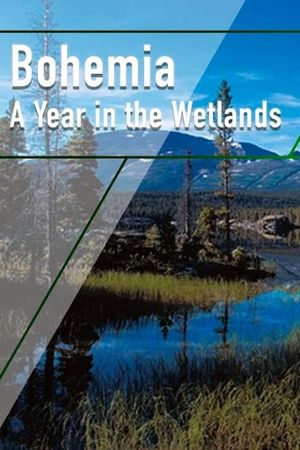 Bohemia: A Year in the Wetlands's poster