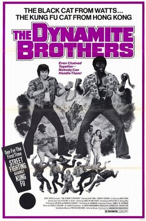 Dynamite Brothers's poster