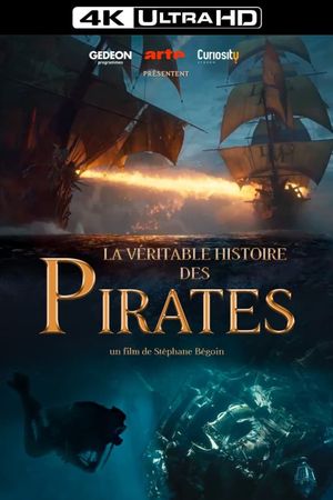 The True Story of Pirates's poster