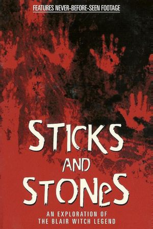 Sticks and Stones: Investigating the Blair Witch's poster