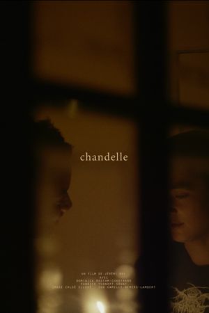 Candle's poster image