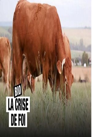 Bio La Crise De Foi's poster