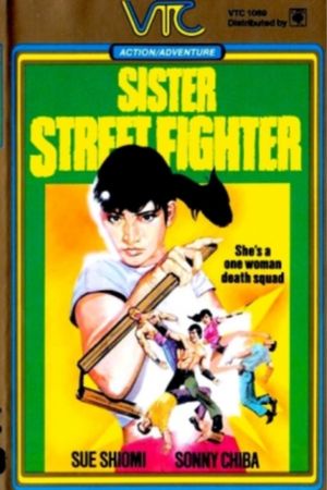 Sister Street Fighter's poster