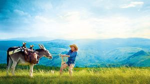 My Donkey, My Lover & I's poster