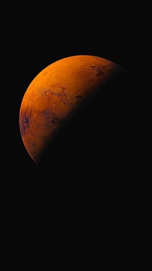 Life on Mars's poster