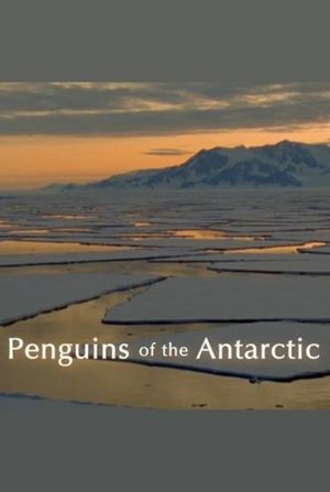 Penguins of the Antarctic's poster