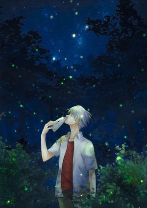 To the Forest of Firefly Lights's poster