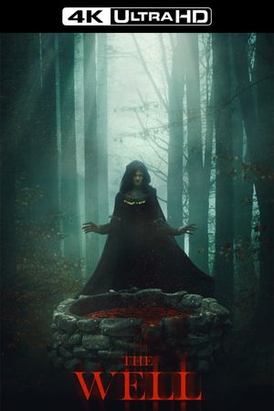 The Well's poster