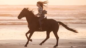 Black Beauty's poster
