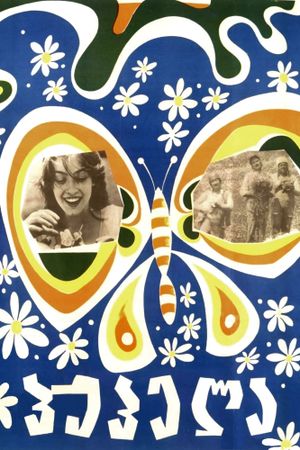 Butterfly's poster