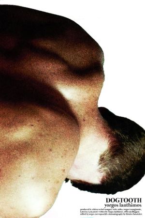 Dogtooth's poster