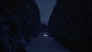 The Shining's poster