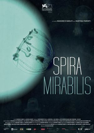 Spira Mirabilis's poster