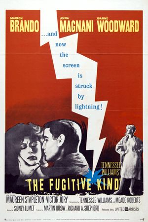The Fugitive Kind's poster