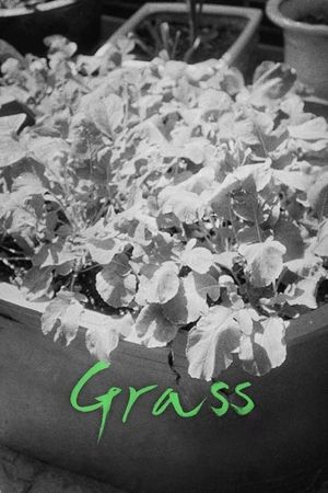 Grass's poster